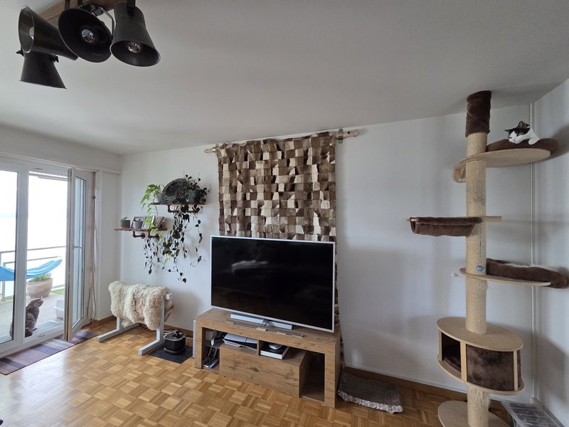 Photo 6 of Erlenstrasse 62, Richterswil