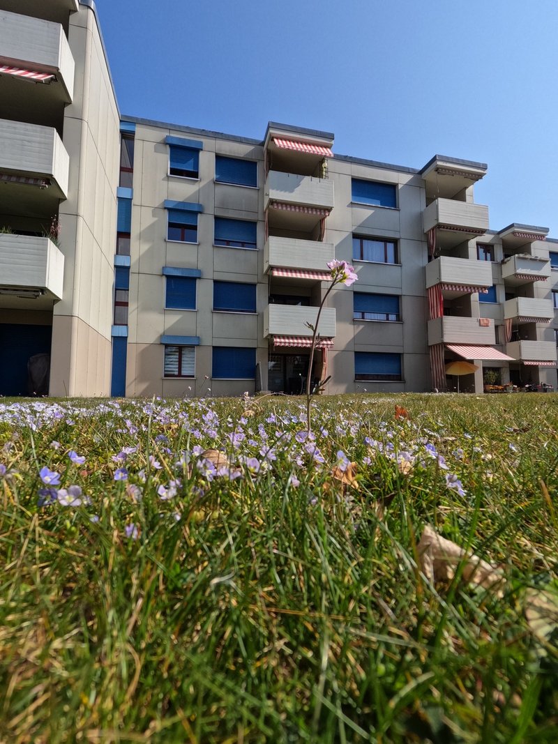 Foto 1 di Langenthal