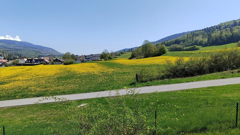 Photo 2 de Route des Revinnoz 8, Vallorbe