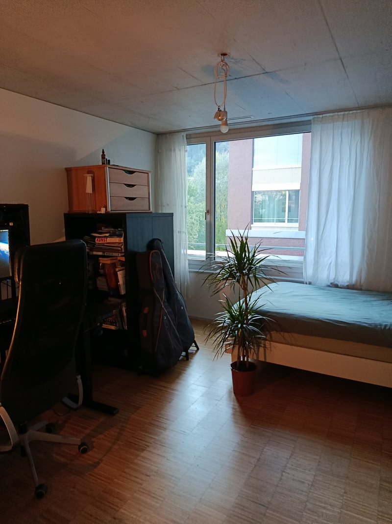 Foto 1 von Horw
