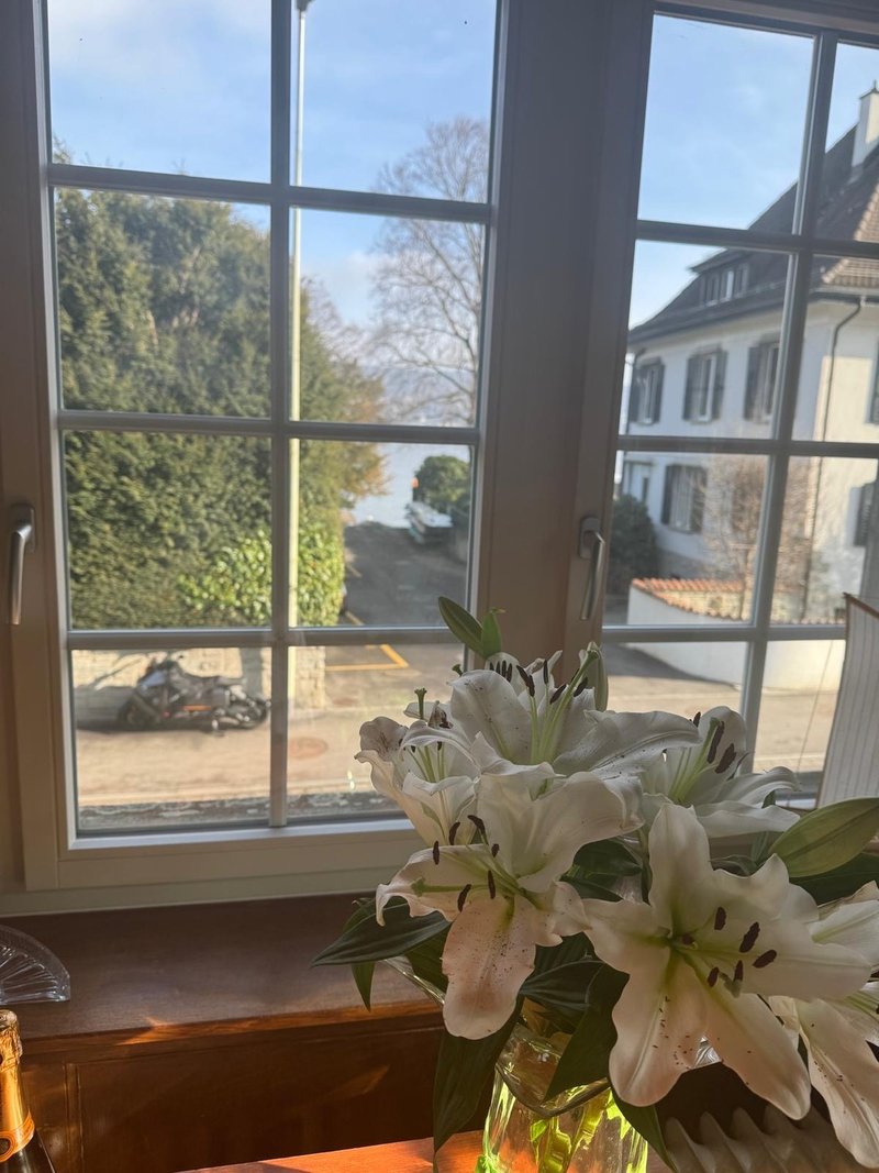 Foto 5 di Seestrasse 70, kilchberg