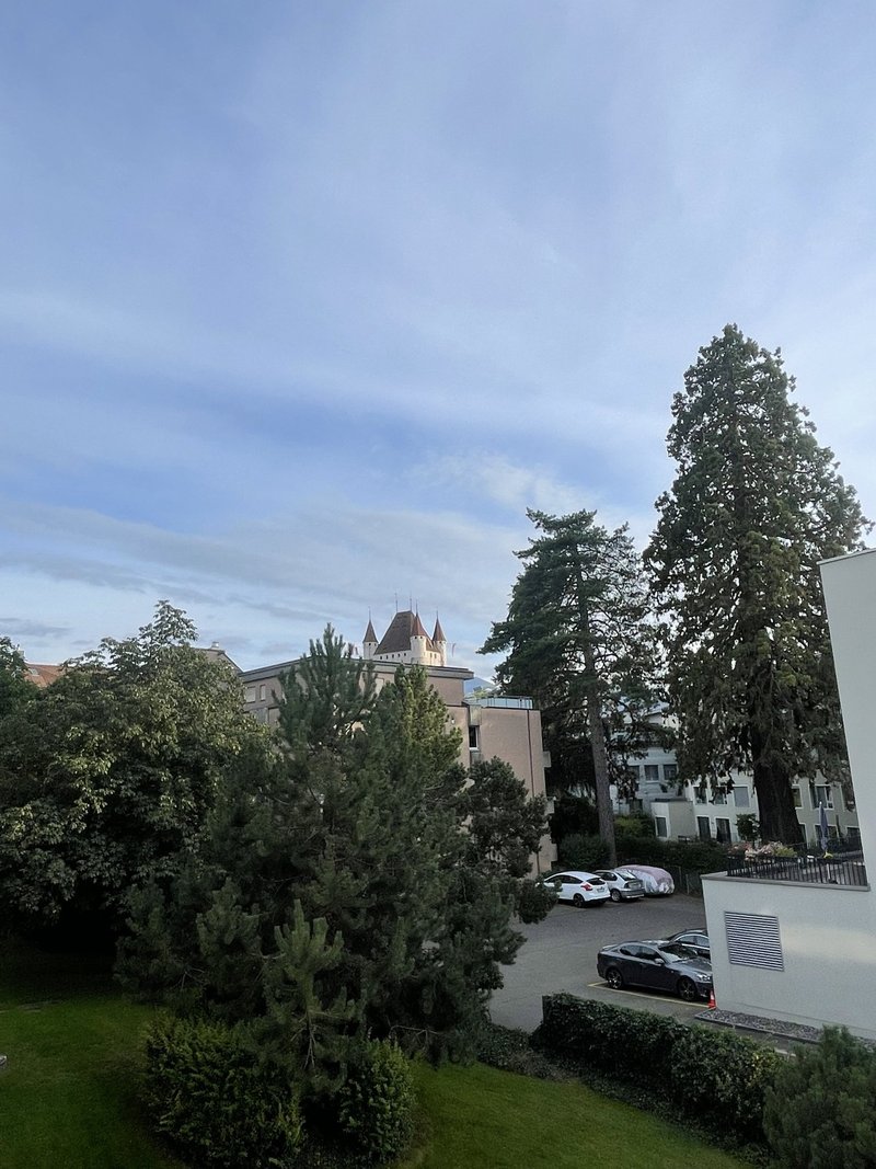 Foto 4 von Steffisburgstrasse 13A, Thun