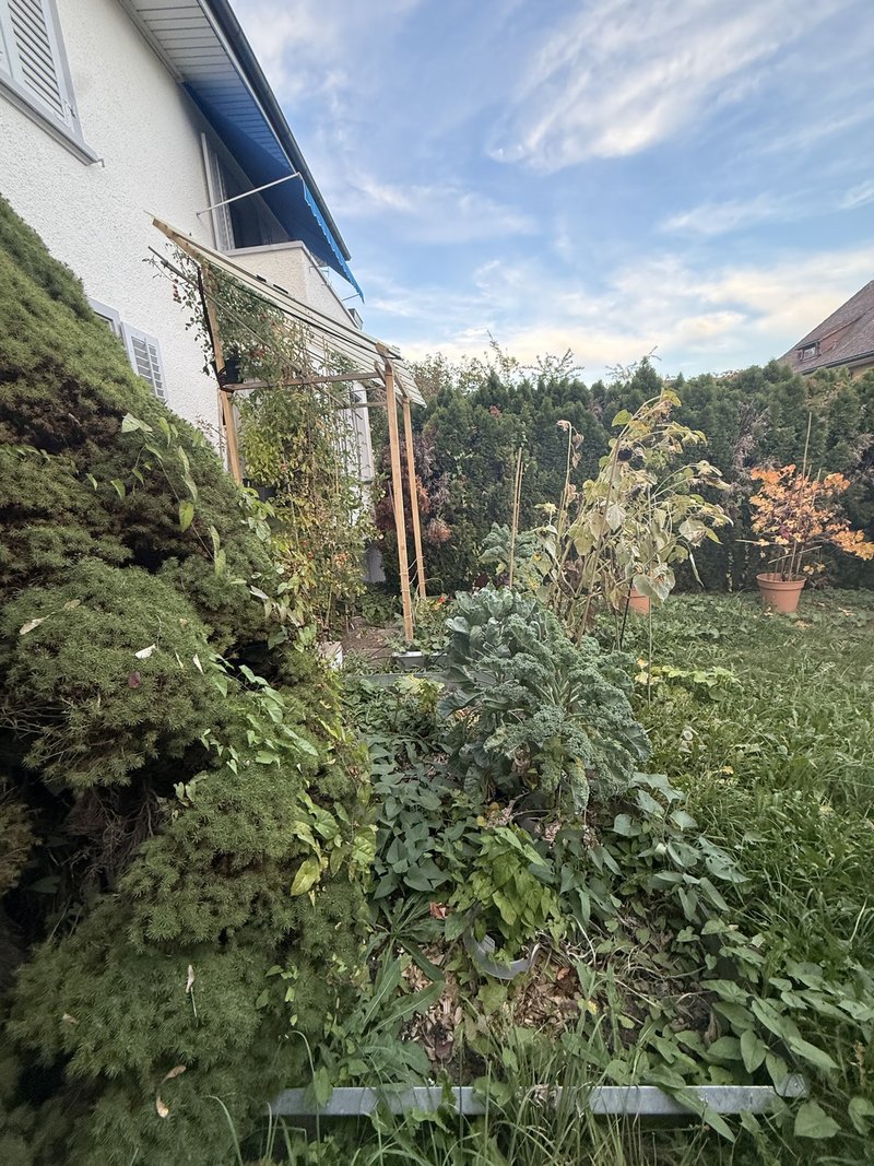 Photo 5 de Hochrainstrasse 13, Kriens