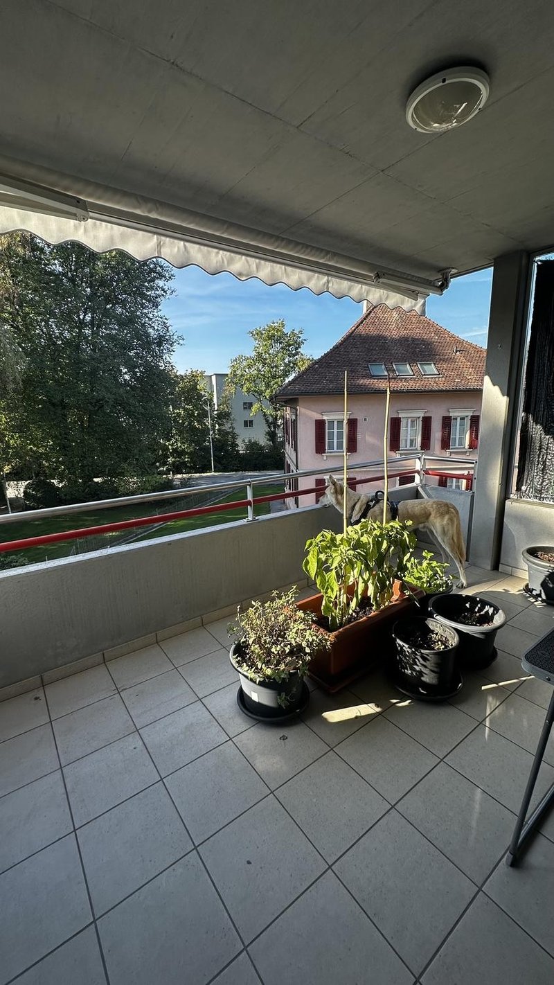 Foto 5 von Dagmersellen