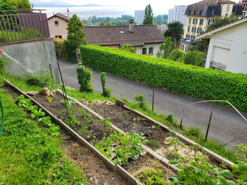 Photo 7 of Chemin de la Tour-Grise, Lausanne